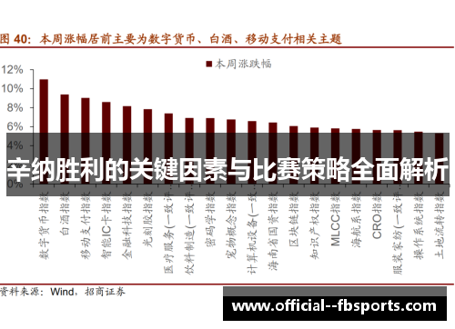 辛纳胜利的关键因素与比赛策略全面解析